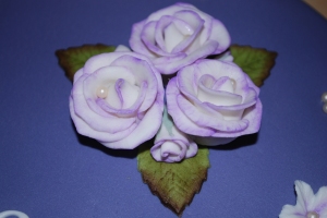 Vita rosor med lila kanter